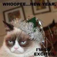 257-best-images-about-grumpy-cat-on-pinterest-cats-8.jpeg