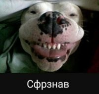 IMG_20181207_200743.jpg