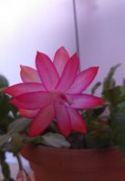 20181208_111747.jpg