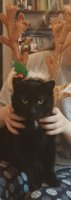 SmartSelect_20181208-150153_Gallery.jpg