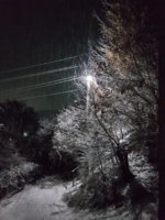 20181214_024236.jpg