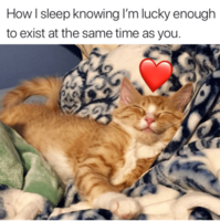 IMG_20181214_000135.png