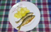IMG_20181215_162334_513.jpg
