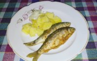 IMG_20181215_162334_509.jpg