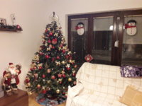 20181216_004118.jpg