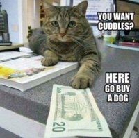 FB_IMG_1545035230601.jpg
