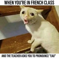 FB_IMG_1545062374833.jpg