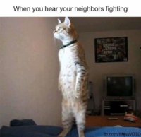 FB_IMG_1542701736794.jpg