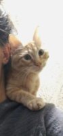 IMG_20181218_223200-01.jpeg