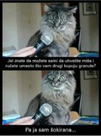 D208367B-AF9A-4B45-A59C-1BB3AB2ECE8C.jpeg