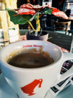 2018-12-22 03.21.32 1.jpg