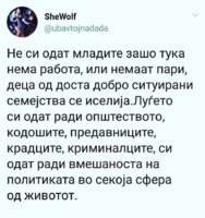 FB_IMG_1545573855962.jpg