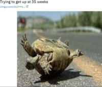 0F331317-0890-47AE-9F6B-171784D4E460.jpeg