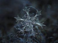 Alexey-Kljatov-macro-photography-snowflakes.jpg