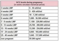 hcg-levels-early-pregnancy-2.jpg