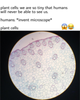 IMG_20181226_183743.png