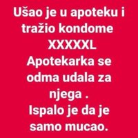 58859b3cfad25fbd10e98f3a7a4aab6e.jpg