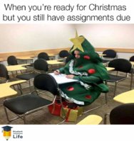 FB_IMG_1543850354777.jpg