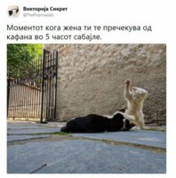 FB_IMG_1544266877198.jpg