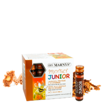protect-junior-jalea-real-propoleo-vitaminas-20viales-marnys-mnv236-2-768x768.png