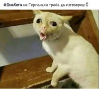 20181230_225119.jpg