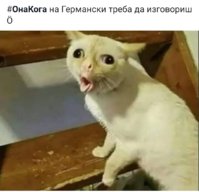 Screenshot_20181231_091023.jpg