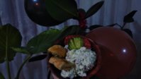 myfoodiary0___BsI8QzDnsZ0___.jpg