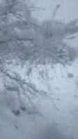 IMG_20190104_084744.jpg