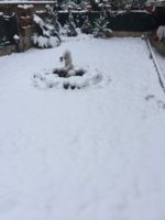 18709204-CEBF-4167-AB13-89DB11073B8E.jpeg