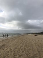 887E4754-DEB3-4A03-B1CD-31BA58792AEC.jpeg