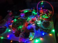20190106_171841.jpg