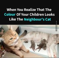 FB_IMG_1546699333330.jpg