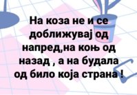 20190108_074019.jpg