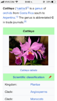 1C088D61-9CAB-449E-9E42-066FAE979782.png
