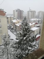 IMG_20190110_112522.jpg