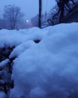 IMG_20190110_163637_785.jpg