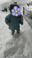 img1547138974750.jpg