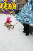 img1547139118201.jpg