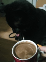 20190114_010641.gif