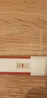 20190113_224411.jpg