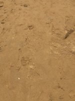 464A6D6C-DB29-48F9-BB76-AE1FF65ECB6D.jpeg