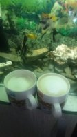 20190114_214305.jpg