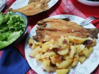 IMG_20190113_144602.jpg