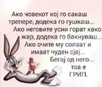 FB_IMG_1547732682892.jpg