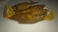 IMG_20190117_174648.jpg