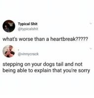 typical-shit-typicalshit-whats-worse-than-a-heartbreak-vinnycrack-stepping-32431551.png