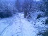 21-01-12-10-55(005).jpg