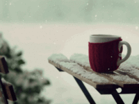 anigif_sub-buzz-10208-1482681237-1.gif