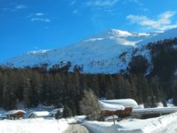 IMG_20190123_111805.jpg