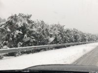 C4092FE6-4923-4608-8454-21E6F6818F63.jpeg